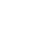 checkered logo