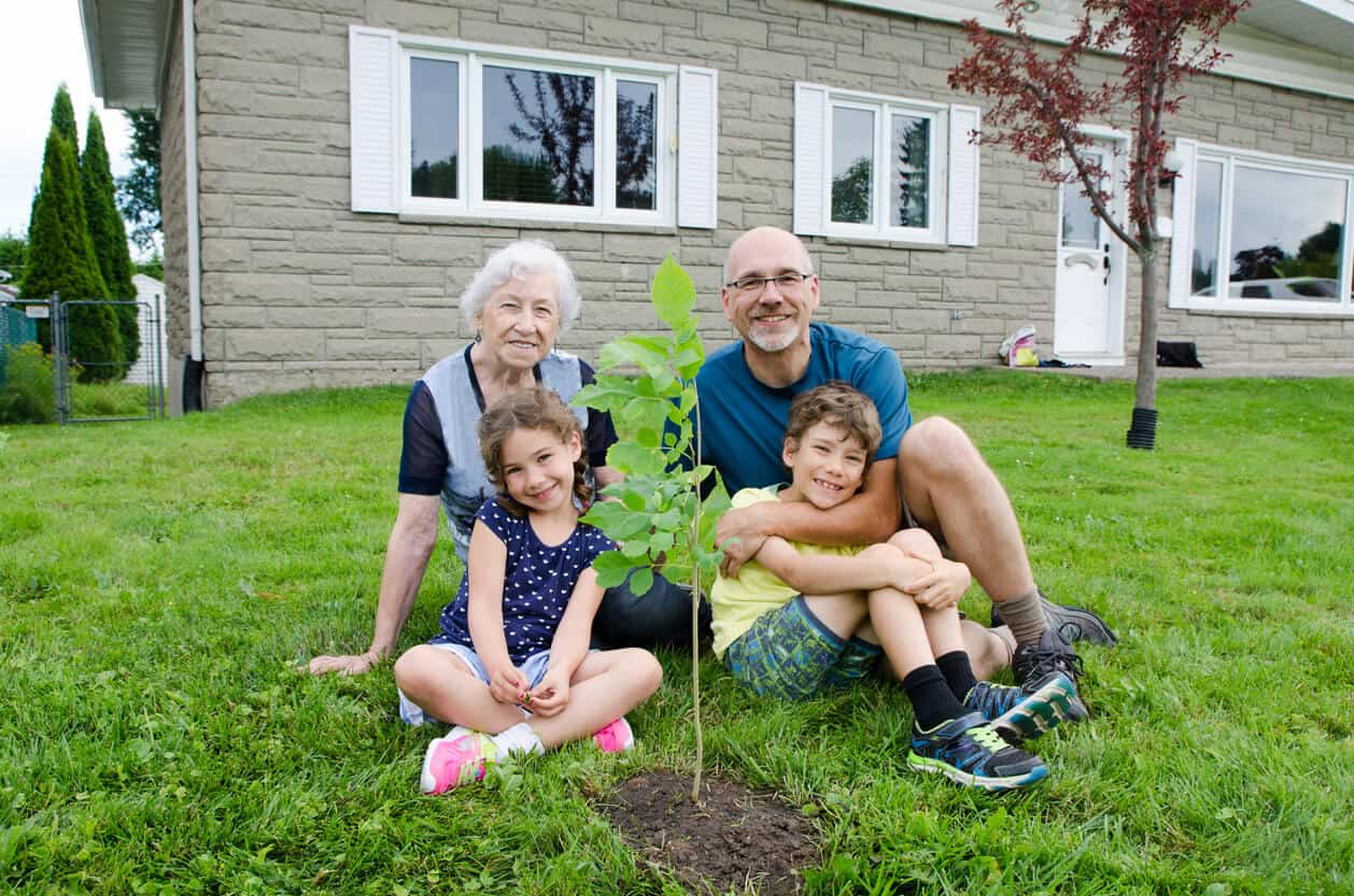 Cremation burial tree